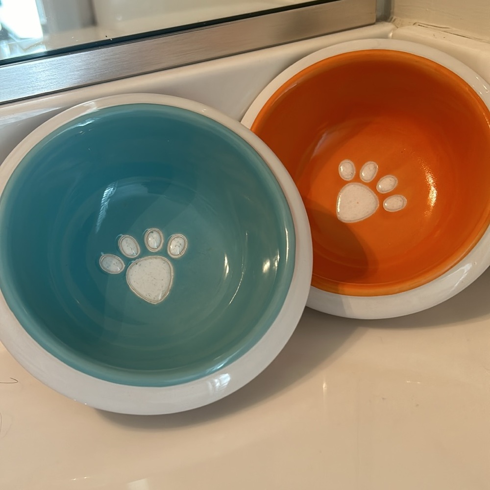 Pet Rageous designs bowls, Set of 2 - Picture 1 of 5